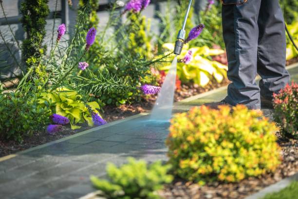 Best Fence Cleaning  in Collinsvle, IL